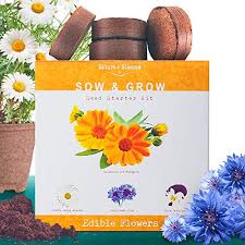 Kids will love plants bearing edible blossoms which add color and zing to food as well as beauty to the garden. Nature S Blossom Edible Flowers Seed Starter Kit Grow 4 Culinary Flowers From Seeds A Complete Indoor Gardening Set For Beginner Gardeners Special Gift Idea For Men And Women Buy Online In