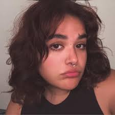 Can a mechanic pass a cracked windshield