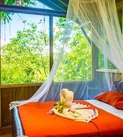 Finca bellavista is in the southern zone of costa rica, on the pacific side near piedras blancas national park. Finca Bellavista Treehouse Community Piedras Blancas Costa Rica Opiniones Comparacion De Precios Y Fotos Del Rancho Tripadvisor