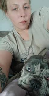 Adopting puppies from reputable breeders