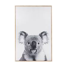 Koala Framed Canvas Kmart