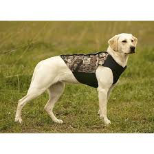 Browning Neoprene Dog Vest Size Chart Best Picture Of