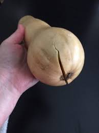 We did not find results for: Butternut Squash Problems What To Do For Fruit Split In Butternut Squash