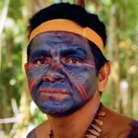 How food and pharma are destroying American competitiveness, one human at a  time