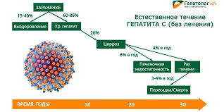 Skolko Zhivut S Gepatitom S Bez Lecheniya Gepatolog Info