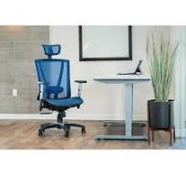 Ergomax Office 53 in. Tall Blue Ergonomic Adjustable Office Chair, Back  Relief with Adjustable Headrest and Armrests T000000112BL