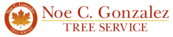 We handle everything from tree emergencies to tree protection. Gonzalez Tree Service Wilmington Nc Tree Trimming Tree Removal