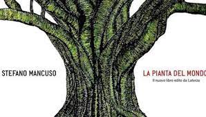 Jetzt mondo bei porta entdecken. Come Suona Questo Albero La Repubblica