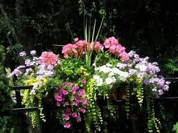 Best flowers for florida window boxes. 28 Window Boxes Ideas Window Boxes Window Box Window Box Flowers