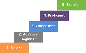The Five Dreyfus Model Stages