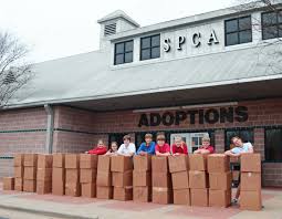 Our mission is to promote commitment to and respect for all animals and free them from suffering, abuse and exploitation. Animal Shelter The Official Houston Spca Humane Education Blog