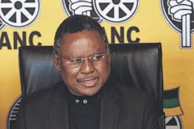 These are some of the fruits our children will never see. We call them  MADOOLO in southern Zambia 🇿🇲 What do you call them