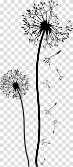 Pin By Ann Henderson On Virtual Journal In 2020 Dandelion Drawing Clip Art Black And White Flowers