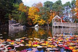 Irvine Park Zoo Chippewa Falls Irvine Park Wisconsin State Parks Chippewa Falls