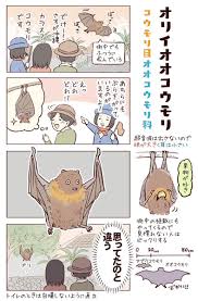 一日一種 wildlife daily さんの漫画 161作目 ツイコミ 仮 動物学 動物 図鑑 動物 漫画