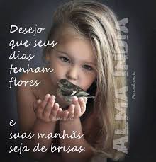 Imagem relacionada
