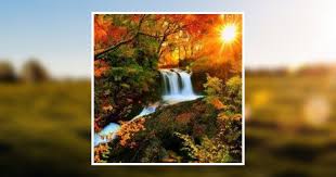 Elaine Downs Paumgardhen Obituary October 11, 2017