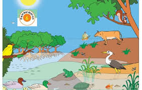 Kelas 5 sekolah dasar kunci jawaban tematik kelas 5 tema 1 kunci jawaban tematik kelas 5 tema 2 kunci jawaban tematik kelas. Kunci Jawaban Tema 5 Kelas 5 Halaman 50 52 Pembelajaran 6 Subtema 1 Buku Tematik K13 Halo Belajar