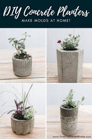 Build large concrete planters for trees in your backyard for a beautiful focal point. Easy Diy Concrete Planters Love Create Celebrate