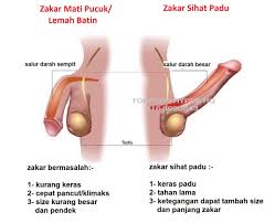 Puas telan ubat, kesan tetap sama ? Anak Adam On Twitter Mati Pucuk Ketahui Punca Dan Rawatannya Lemah Tenaga Batin Or Mati Pucuk Agak Sensitif Bagi Golongan Lelaki Tetapi Info Masalah Sebegini Harus Diketahui Bukan Sahaja Golongan Lelaki Tetapi