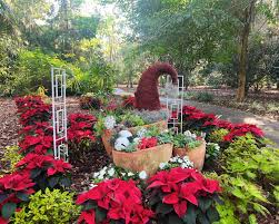 Image result for Gardenia imperialis