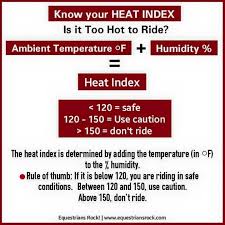 heat index for riding heat index horses horse care