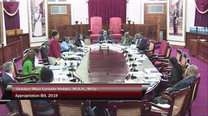 Senate 27th March 2019