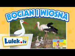 Wywiad z Bocianem I Film dla dzieci I Lulek.tv - YouTube