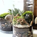 Art Night: Dino Terrarium