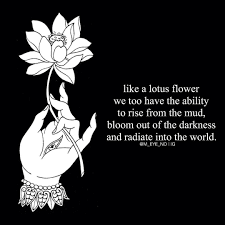 Get More Good Vibes Here Tumblr Instagram Lotus Flower Quote Flower Quotes Quotes