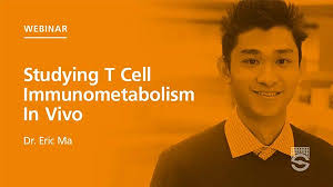 Resources for T Cell Therapy Research and Development