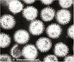 Definition of norovirus in the definitions.net dictionary. Norovirus Helps Develop Treatments For Food Poisoning