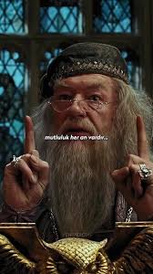 Profesör Dumbledore’un ismi nereden geliyor hiç merat ettiniz mi❓ Harry  Potter filmlerinde yer alan Dumbledore karakteri, sürekli kendi kendine  mırıldandığı için ismi İngilizce'de “yaban arısı” ...