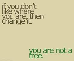 Don T Like Where You Are Fitability