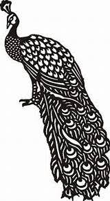 Free Peacock Clipart Pictures Peacock Images Coloring Pages Peacock Outline