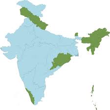 Image result for Microstegium fasciculatum