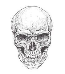 Si tu ne sais pas comment ils doivent être colorés, à la fin. Epingle Sur Skull