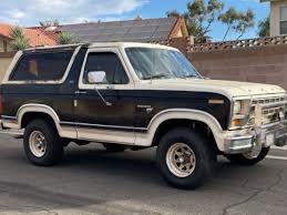 Image result for Fawn 1981 Bronco