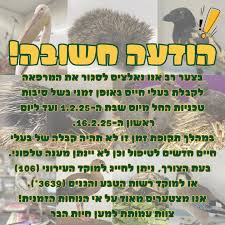 חברים יקרים, יש לנו הודעה חשובה‼️ בצער רב אנו נאלצים לסגור את המרפאה לקבלת  בעלי חיים באופן זמני בשל סיבות טכניות החל מיום שבת ה-1.2.25 ועד ליום ראשון  ה-16.2.25. במהלך תקופת זמן