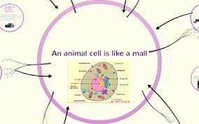 We did not find results for: An Animal Cell Is Like A Mall By Emma Gable