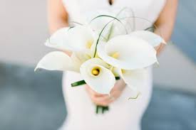 We personally grow over thirty five different varieties of flowers, filler flowers. D M Wholesale Flowers 48 Photos 39 Reviews Florists 3208 La Mirada Dr San Marcos Ca Phone Number Yelp