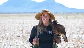 A person skilled in the art of falconry. Arizona Falconers Association Home