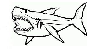 Shark jaws sketch coloring pages to color, print and download for free along with bunch of simply do online coloring for shark jaws sketch coloring pages directly from your gadget, support. Shark S Jaw Coloring Page Free Printable Coloring Pages For Kids
