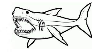 Your kids will increase their vocabulary by learning about different anima. Shark S Jaw Coloring Page Free Printable Coloring Pages For Kids