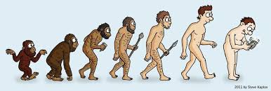 Image Result For Man Evolution Chart Evolution Puzzle Man