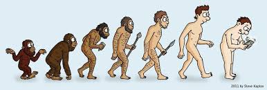 image result for man evolution chart evolution puzzle man