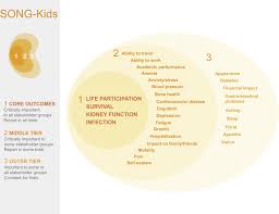 Consumer complaints and reviews about jenny yap & associates kuala lumpur. Establishing Core Outcome Domains In Pediatric Kidney Disease Report Of The Standardized Outcomes In Nephrology Children And Adolescents Song Kids Consensus Workshops Kidney International