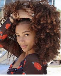 Alodia hair care are natural hair care products developed by dr. Pin By Aly Philbert On Black Hair In 2020 Curly Hair Women Natural Hair Styles Black Girl Natural Hair