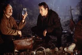 Minuit Dans Le Jardin Du Bien Et Du Mal Cinema Jardins Minuit