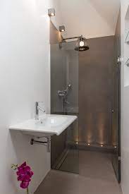 Bathroom Ensuite Contemporary Miniumal Shower Lighting Walk In Shower Vaulted Ceiling Bathroom Design Modern Bathroom Design